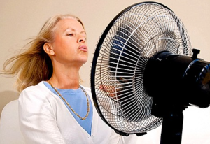 Global Women Connected Menopause Causes and symptons hot